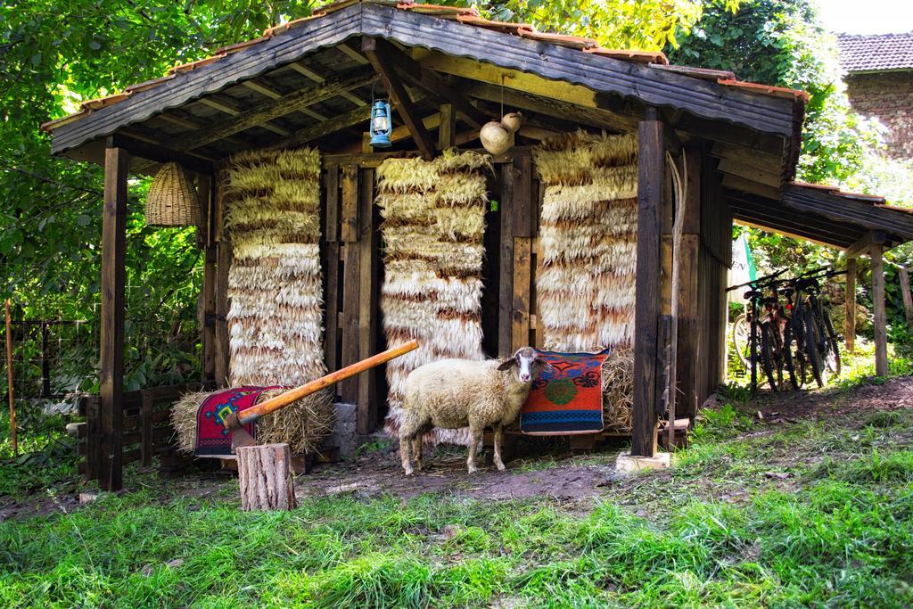 Koshov Milkovata Guest House الغرفة الصورة